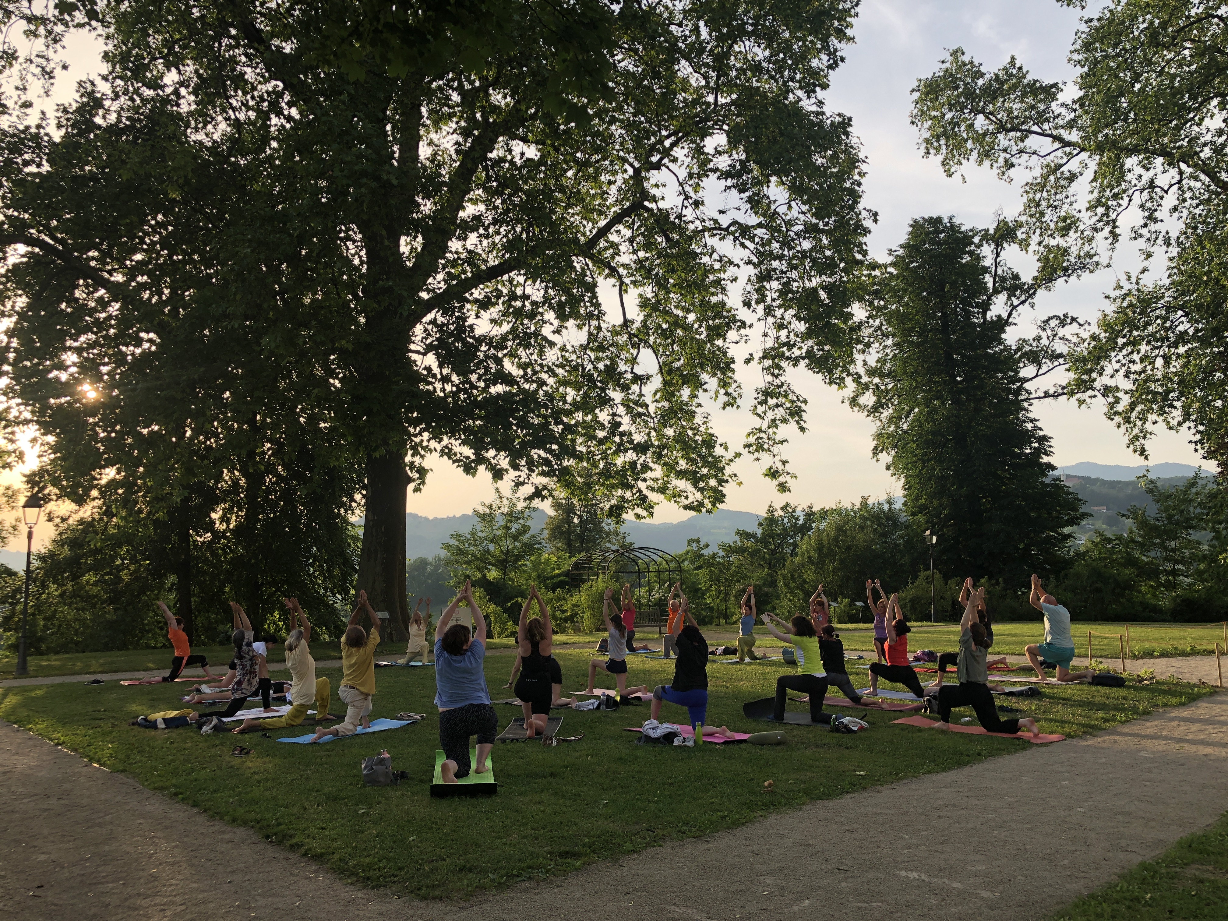 IDY 2023 6